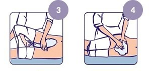 Seni San Uni - change anatomique